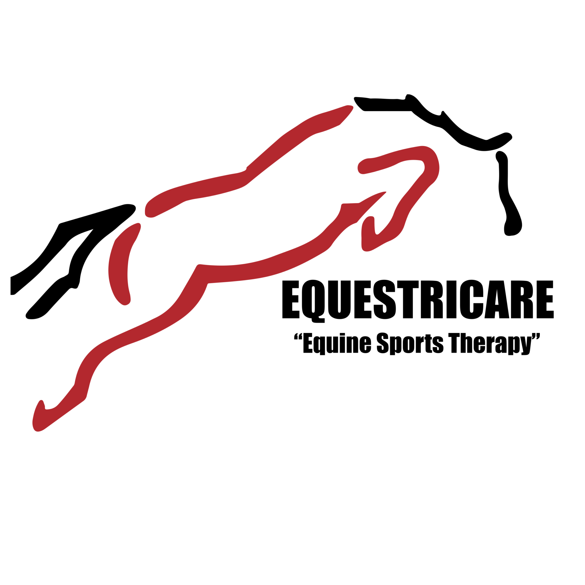 Equestricare Equine Sports Therapy - EQUITANA Melbourne