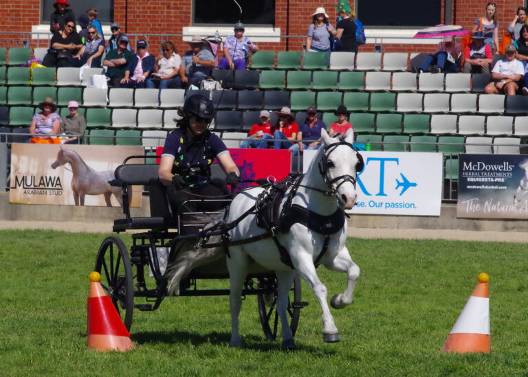 Competition | EQUITANA Melbourne