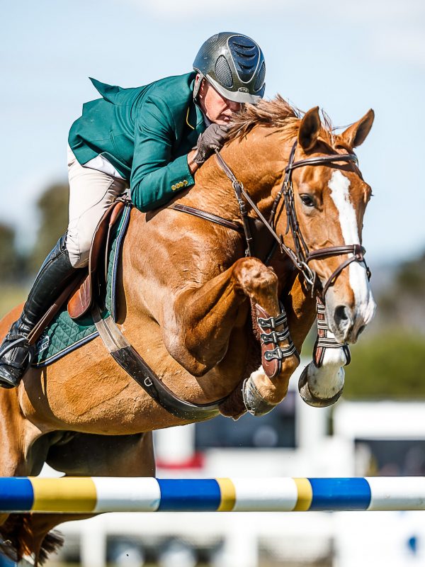 Showjumping Program (Featuring 1.10, 1.2, 1.3, 1.4m and Grand Prix